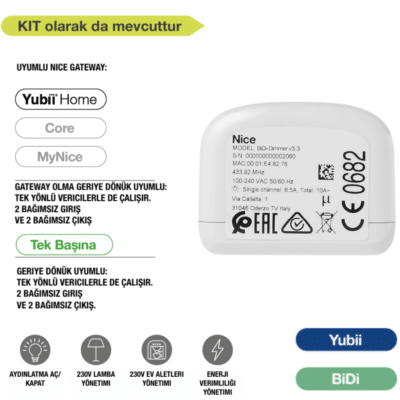 Nice BiDi Switch